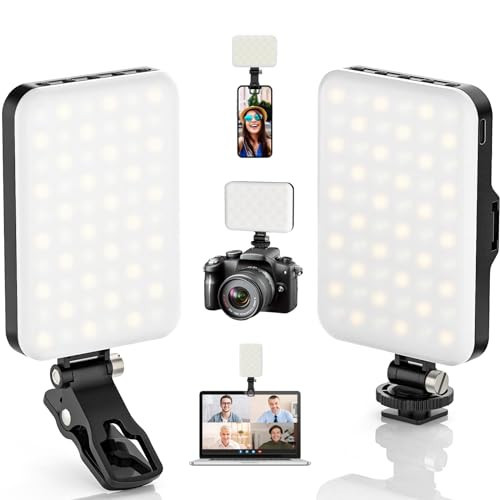 ALTSON 2-Pack 60 LED Selfie Light Portable Clip for Phone Fill Light Rechargeable 2200mAh Clip on Light, CRI 97+, 3 Light Modes Camera Lighting for Phone, iPhone, Webcam, TikTok, Photo, Makeup | Amazon (US)