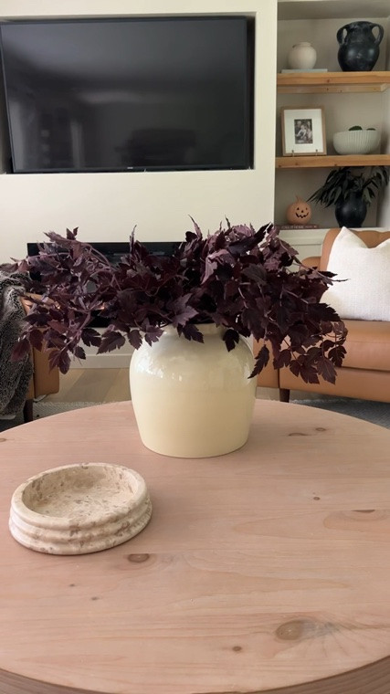 Coffee table decor

#LTKHome #LTKSeasonal