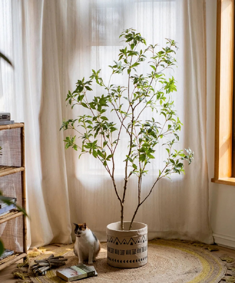 Primrue Gant Artificial Japanese Enkianthus Tree & Reviews | Wayfair | Wayfair North America