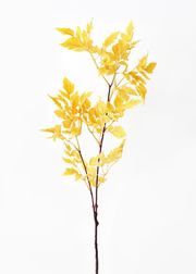 Fake Cimicifuga Ramosa Fall Leaves in Mustard - 31" | Afloral (US)