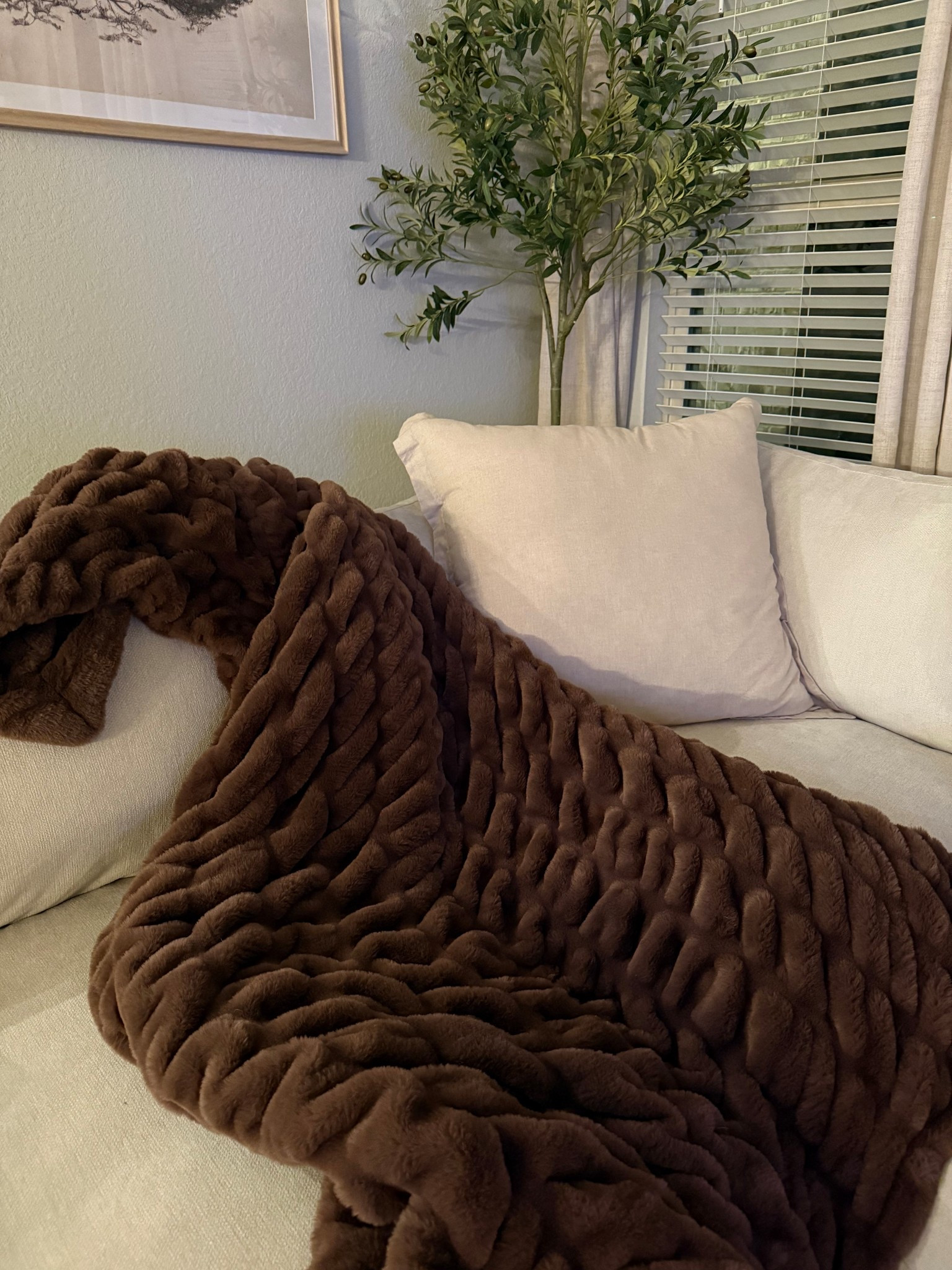 The most amazing throw blanket for a fraction of the price of competitors!

#LTKselfcare #LTKHome #LTKGiftGuide