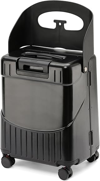 Hardside 22- Inch Luggage with Child Seat, Lockable 4- Spinner Wheels with TSA Approved Lock Trav... | Amazon (US)