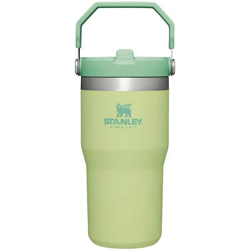 Stanley 20oz Stainless Steel IceFlow Flip Straw Tumbler | Target
