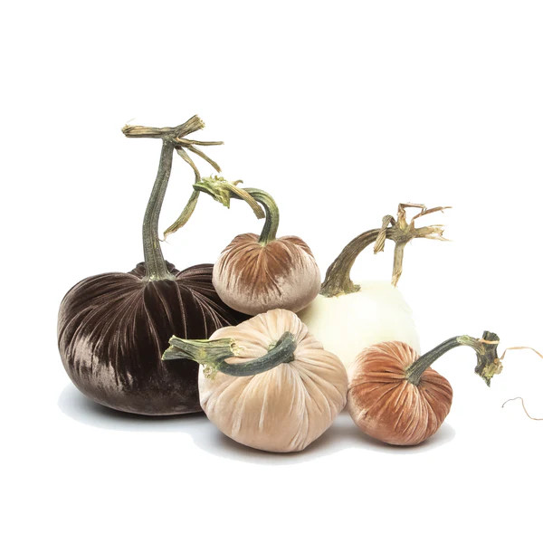 NEW Mocha Latte - 070 | Hot Skwash