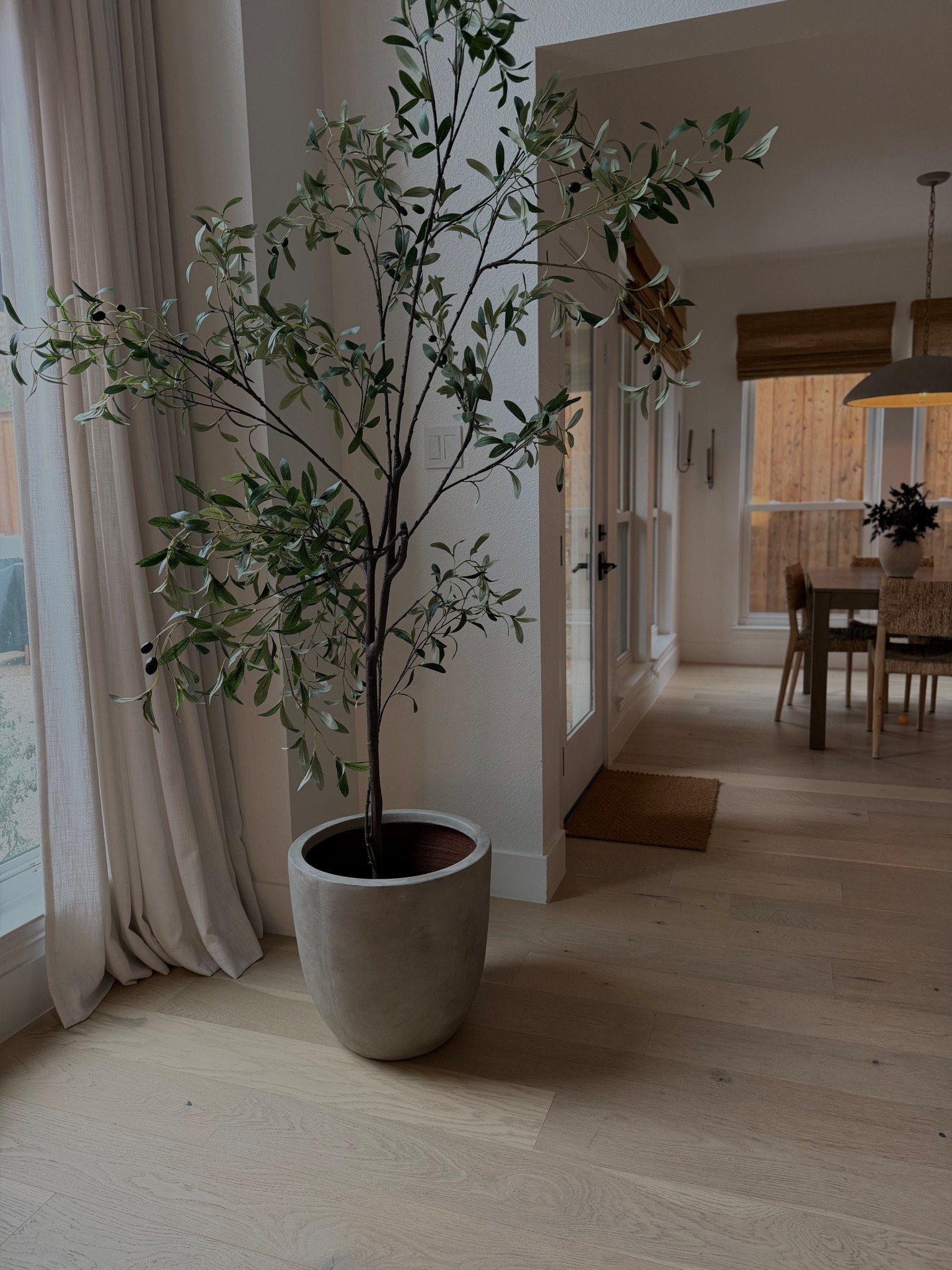 Me 🤝 my Amazon olive tree!

#LTKHome