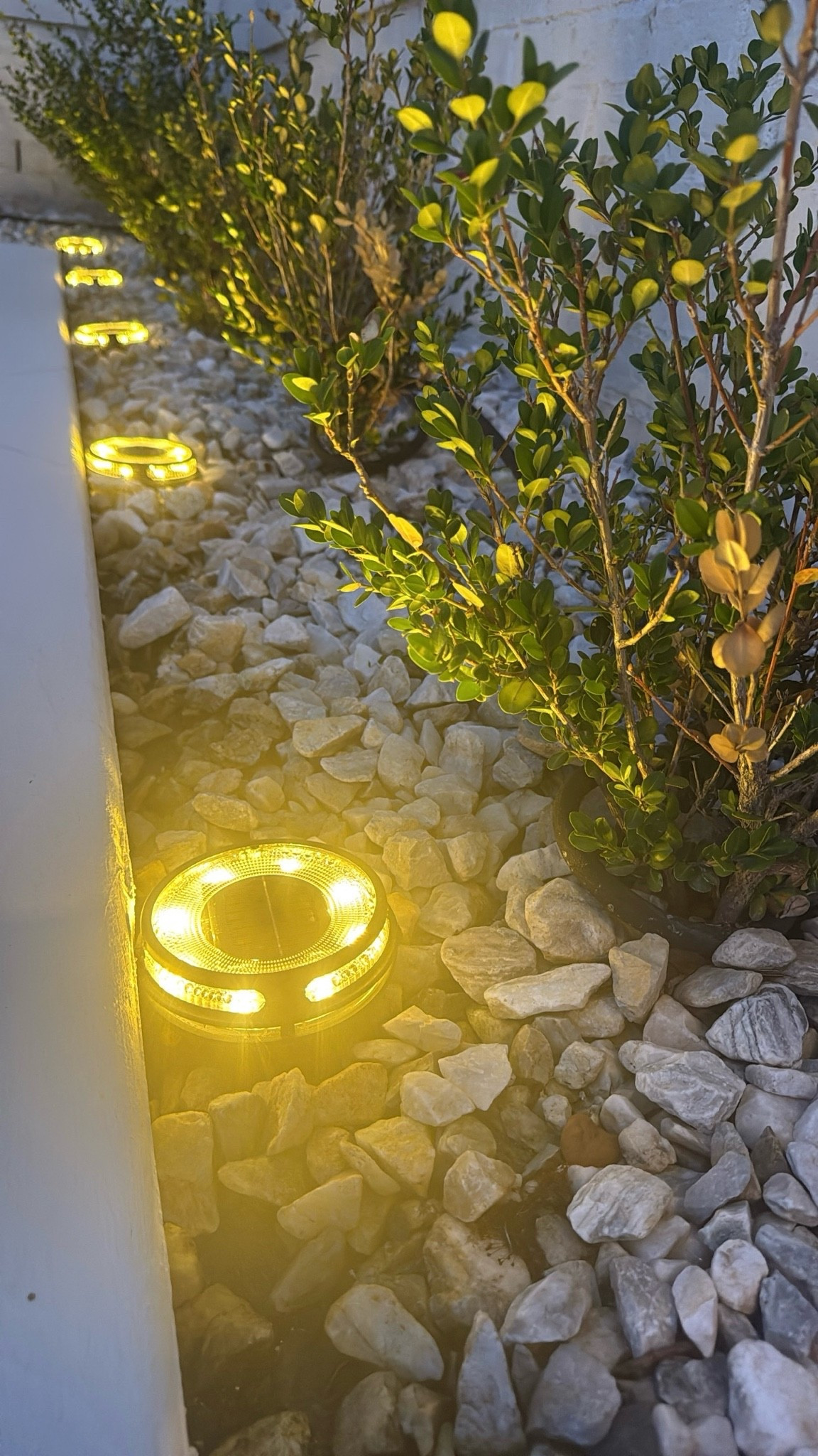 Easy way to elevate your outdoor landscaping! We use these all year round!

#LTKHome #LTKdayinmylife #LTKSeasonal
