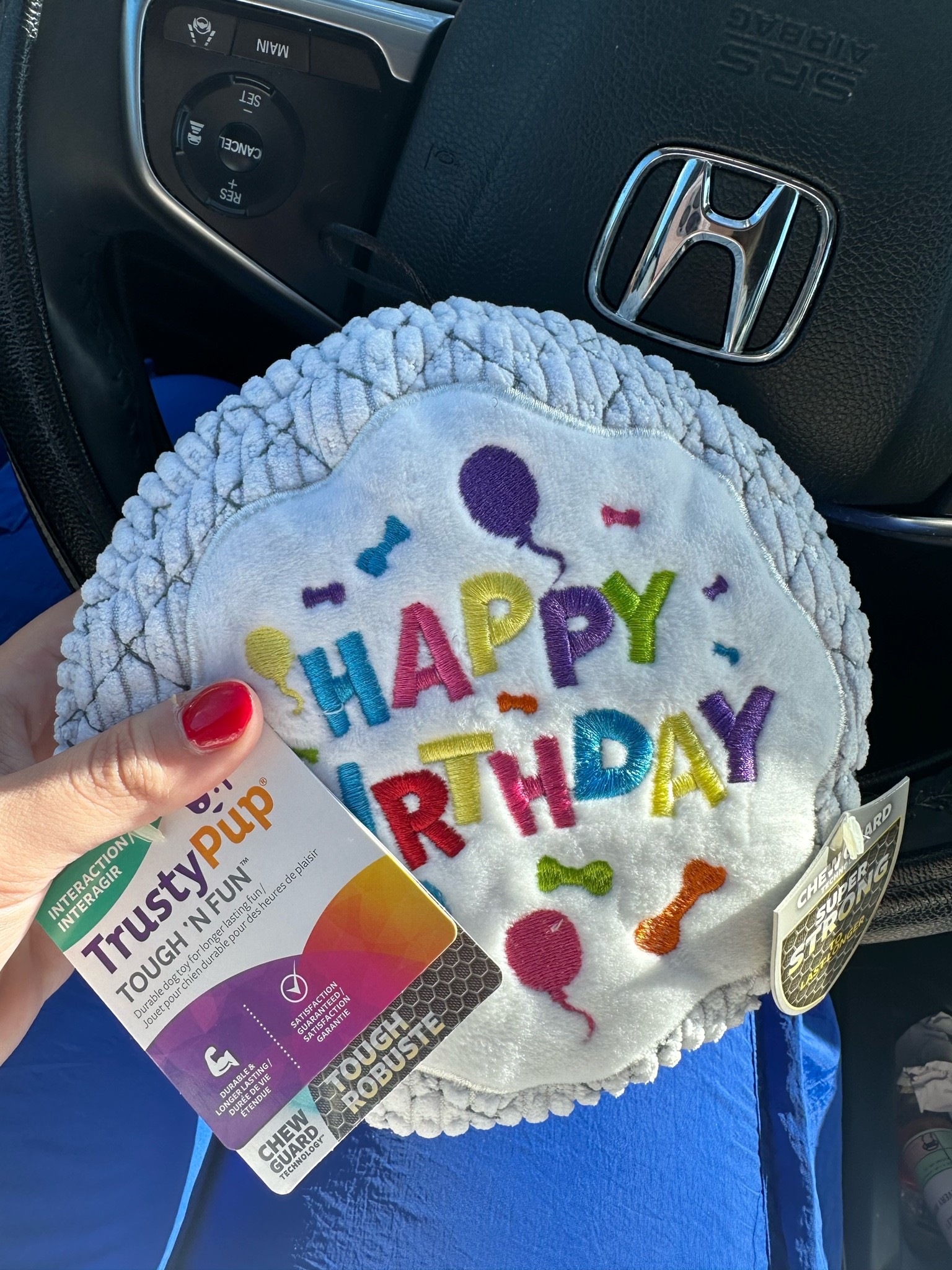 Sneak peak of Comet’s birthday gifts!🎂

#LTKstyletip #LTKHoliday #LTKunder50