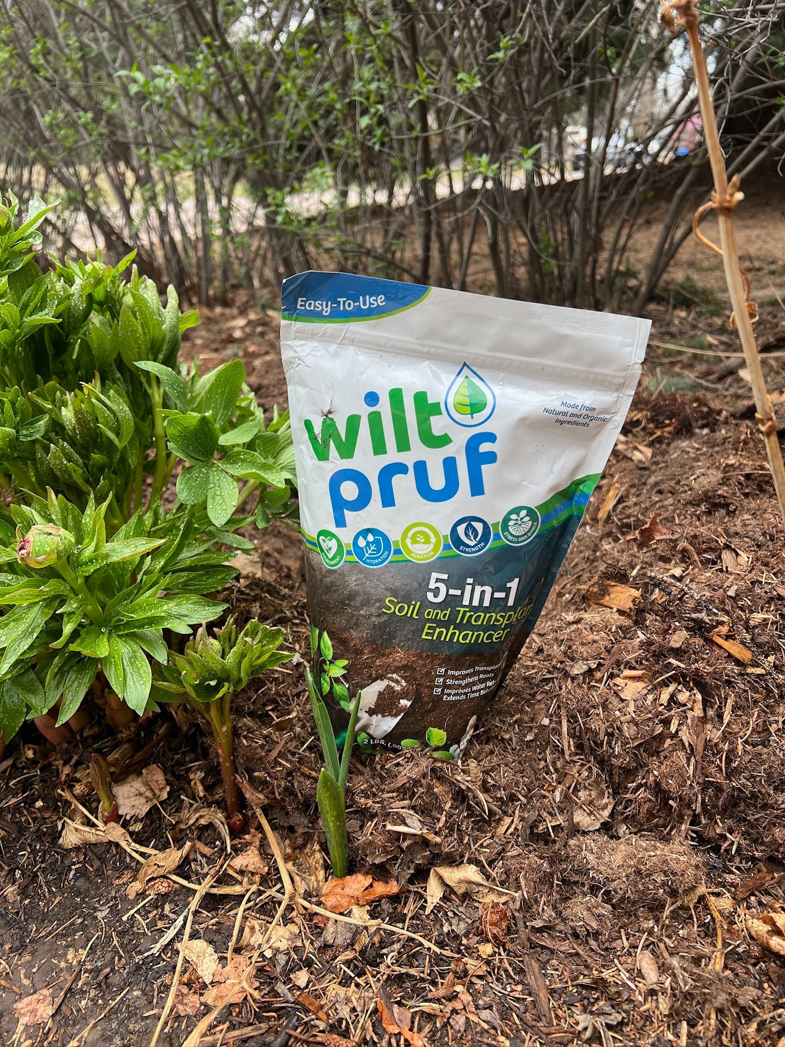 Enhance your soil quality with this bag of Wilt Pruf! Used this in my garden and can’t wait to seethe results 👀

#LTKSaleAlert #LTKHome #LTKSeasonal