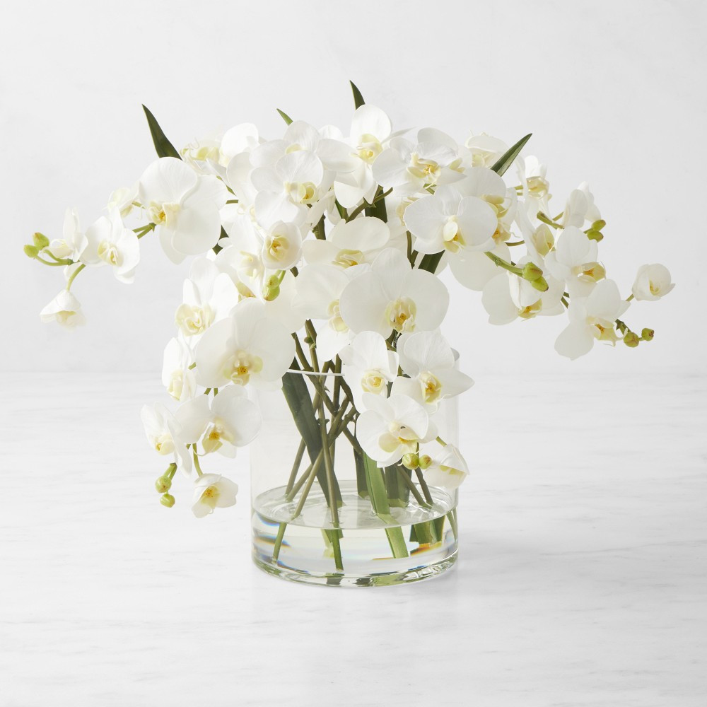 Faux White Orchid Phalaenopsis in Glass Vase | Williams-Sonoma