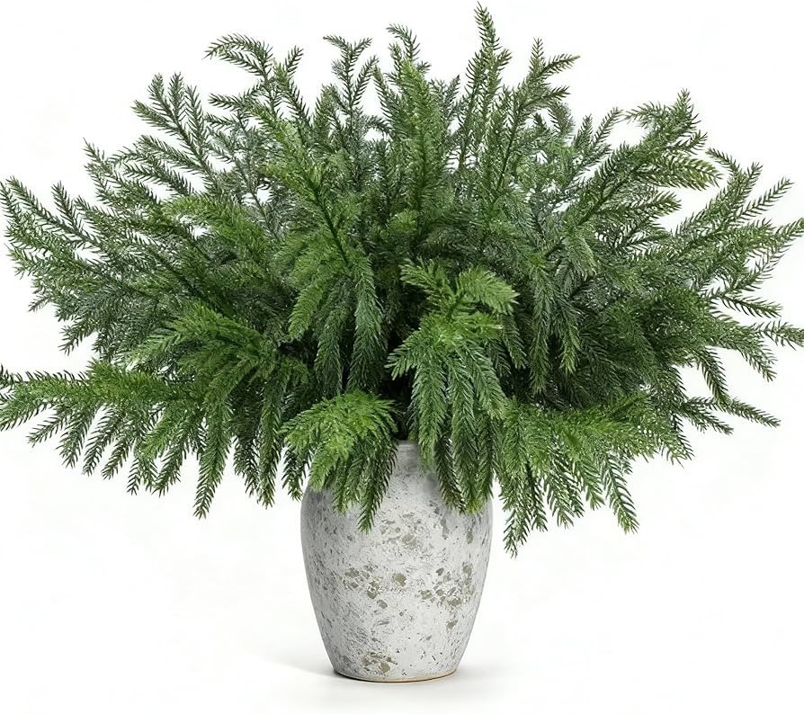 Geegoods | Amazon (US)