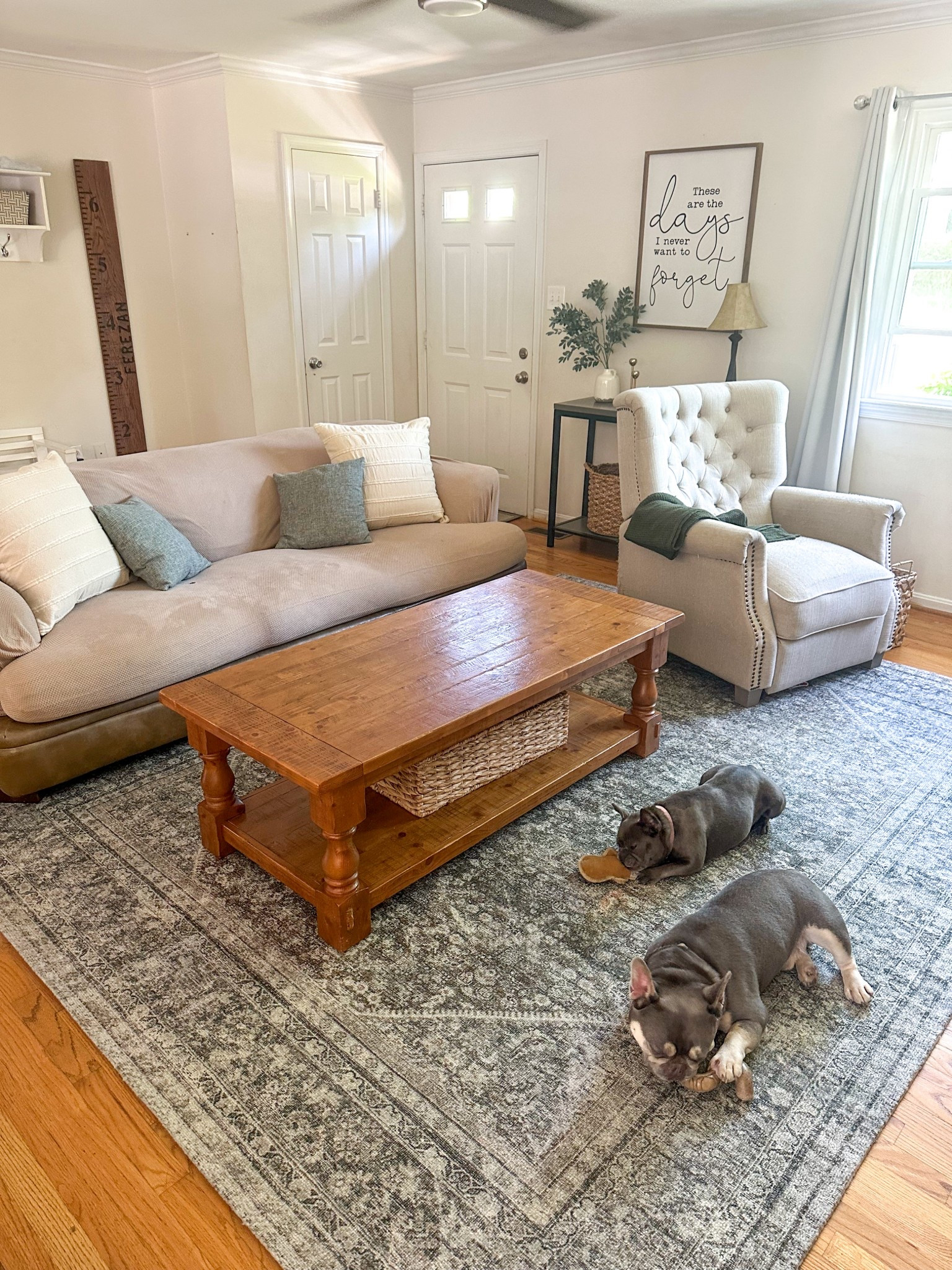 Let me introduce to you the Wimberly (WYM-02) Rug Collection from Magnolia Home by  @joannagaines x @loloirugs! I got the Tobacco Rust rug from this line, and I’m completely in love with the vintage-inspired pattern and cozy, lived-in feel. My living room area needed a little more warmth and character—and I am so happy with this choice and my dogs are too!

I also added some new pillows from the collection too! These are the Landry (PMH0072) in Ivory Natural and they tie the whole space together nicely.

#joannagainesxloloi @magnolia #MagnoliaHome #LoloiRugs #WimberlyCollection 
