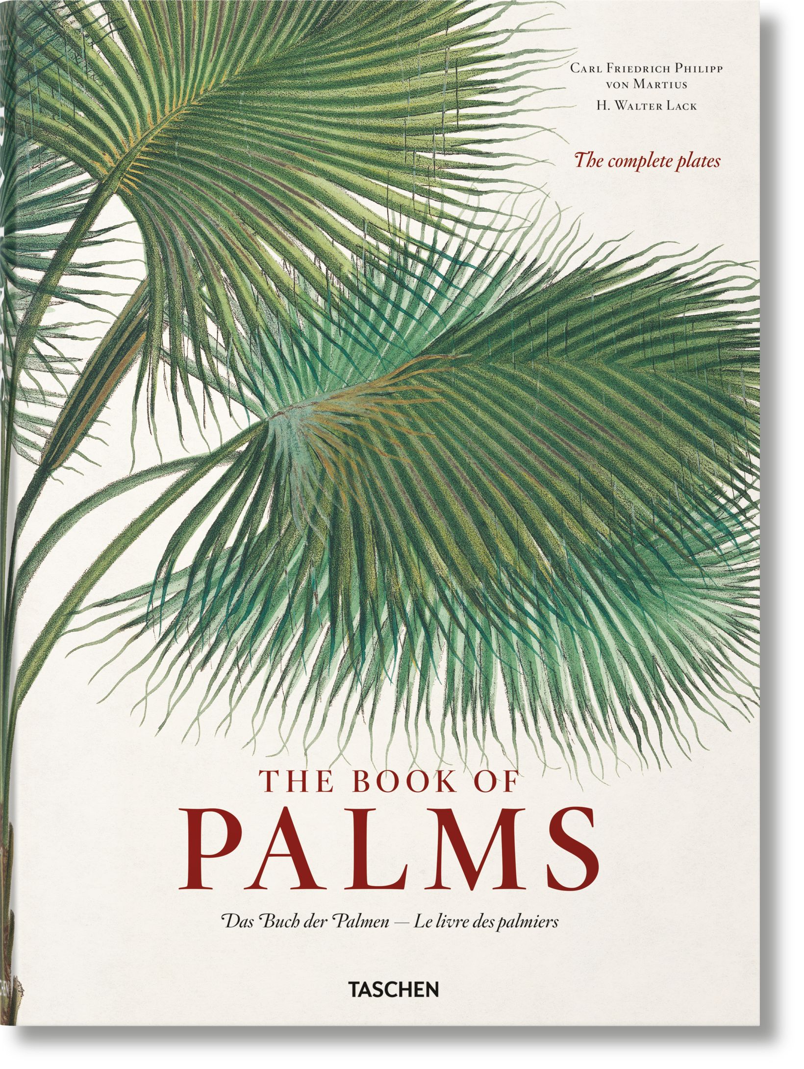 TASCHEN Books: Martius. The Book of Palms | TASCHEN