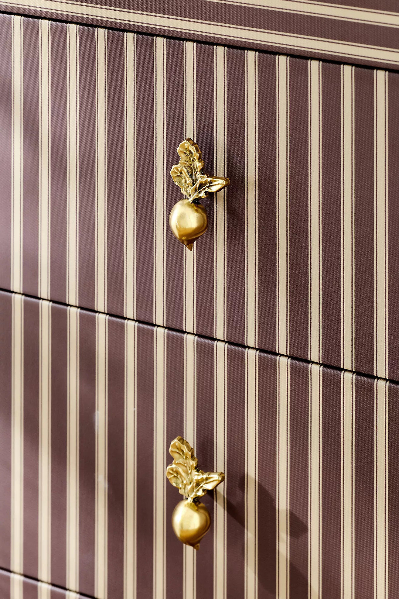 Harvest Brass Knob, Set of 2 | Anthropologie (US)