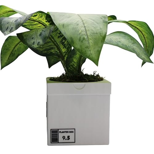 Sneakers Box Planter Pot 3D Printed - White Sneakers Box Decor- Plant Pot for Indoor Plants- Eco-... | Amazon (US)