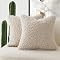 Foindtower Set of 2 Curly Teddy Wool Pillow Covers Decorative Boucle Textured Lumbar Throw Pillow... | Amazon (US)