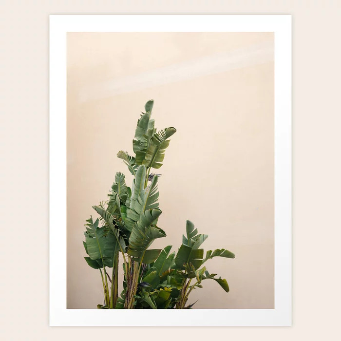 Tropical palms on pastel | Lush greenery in the South of France | Botanical art print Art Print | Society6