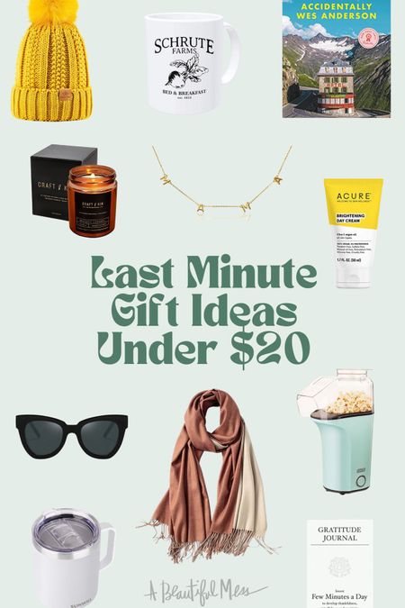 Last minute gift ideas under $20!

#LTKunder50 #LTKGiftGuide #LTKHoliday