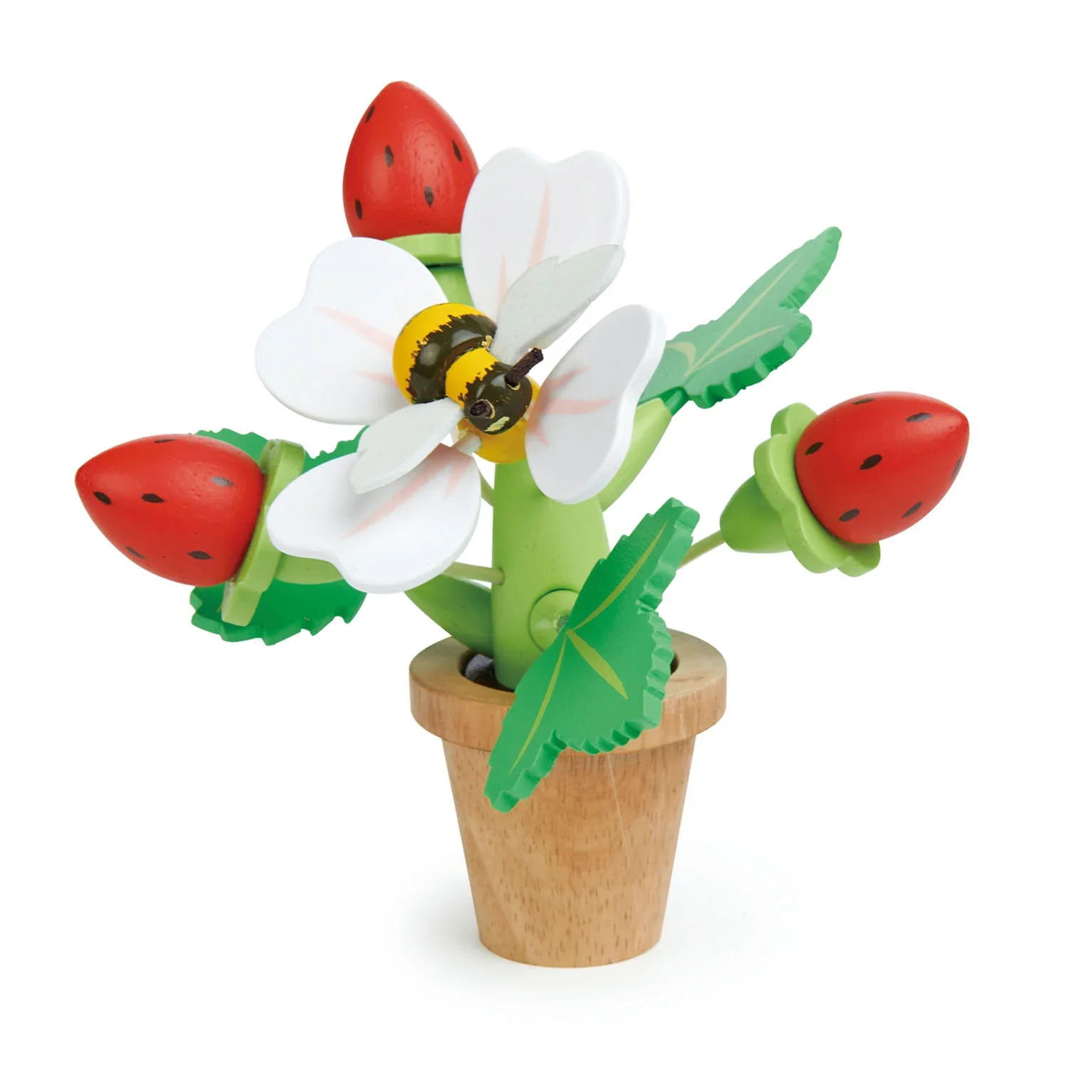 Wooden Strawberry Flower Pot | Loozieloo