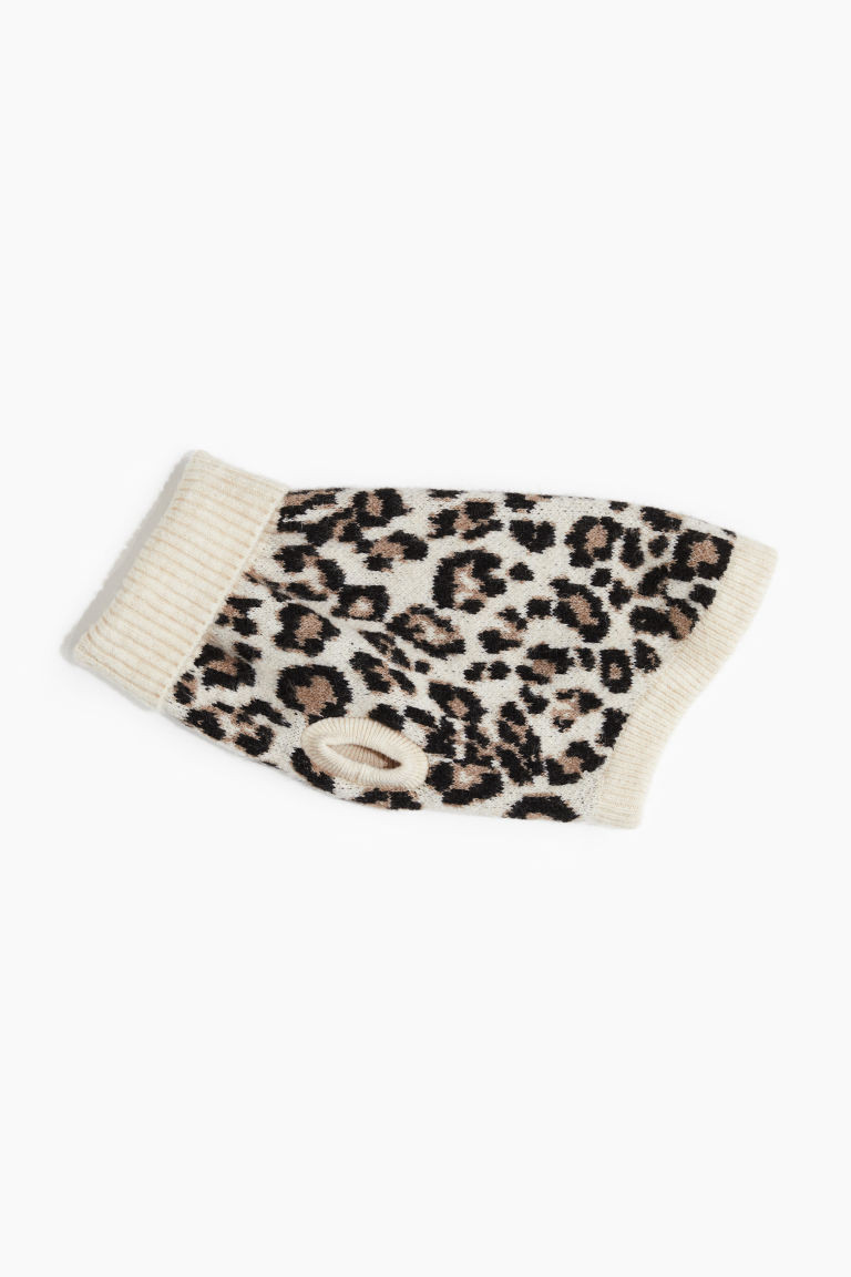Jacquard-knit Dog Sweater | H&M (US + CA)
