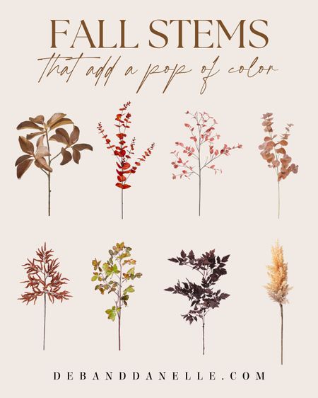 Fall stems 

#LTKSeasonal #LTKhome #LTKFind