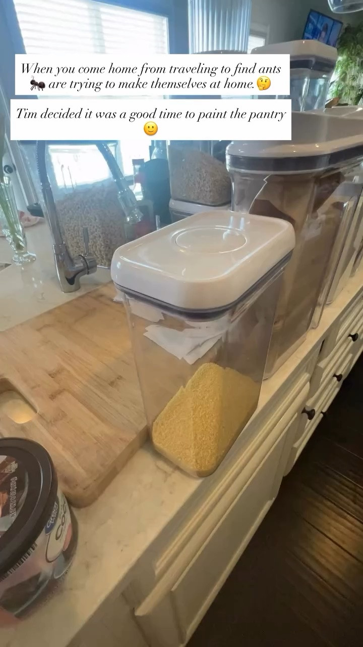 When you come home from traveling to find ants 🐜 are trying to make themselves at home.🤔

Tim decided it was a good time to paint the pantry🙂

I’m always looking for nontoxic pest deterrent, although once in a while, I will settle on something lethal to get rid of ants 🐜

#LTKstorytime #LTKHome