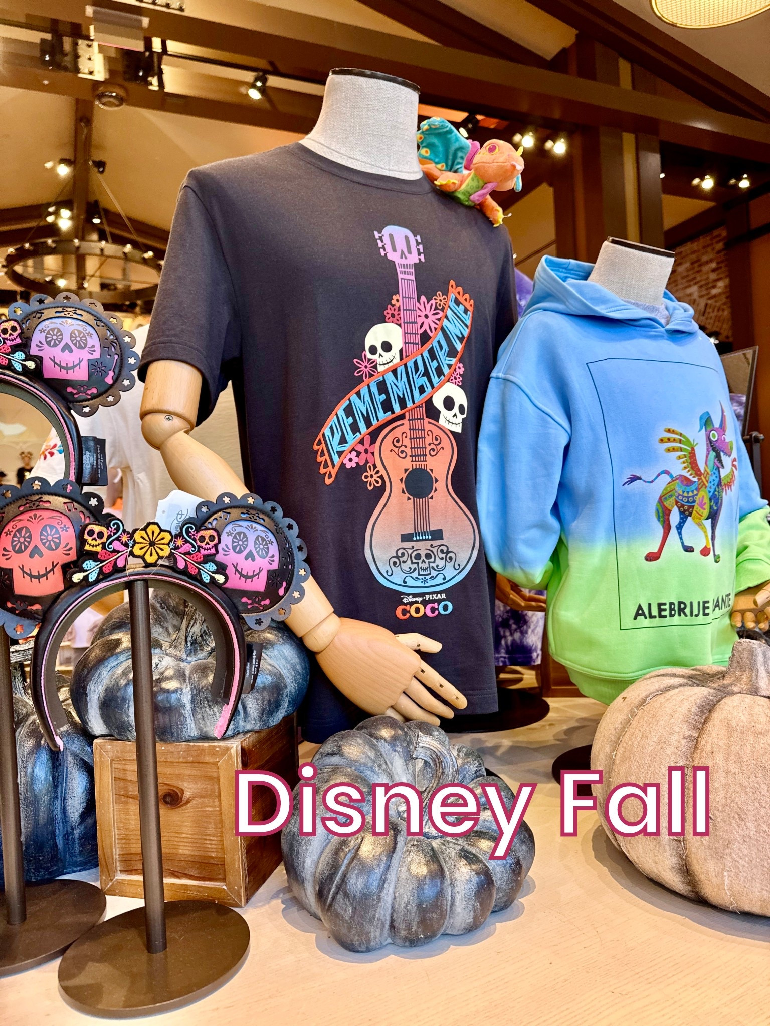 From tee shirts, to costumes to pajamas, there are so many fun Fall items for Disney fans. #Disneyland #pajamas #sweaters #Halloween #Fallstyle #StarWars #Mickeymouse #ltkfamily #Heruniverse #HauntedMansion #costumes 

#LTKSaleAlert #LTKKids #LTKSeasonal