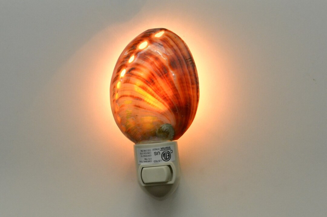 Red Abalone Sea SHELL Nautical Beach Decor NIGHTLIGHT - Etsy | Etsy (US)
