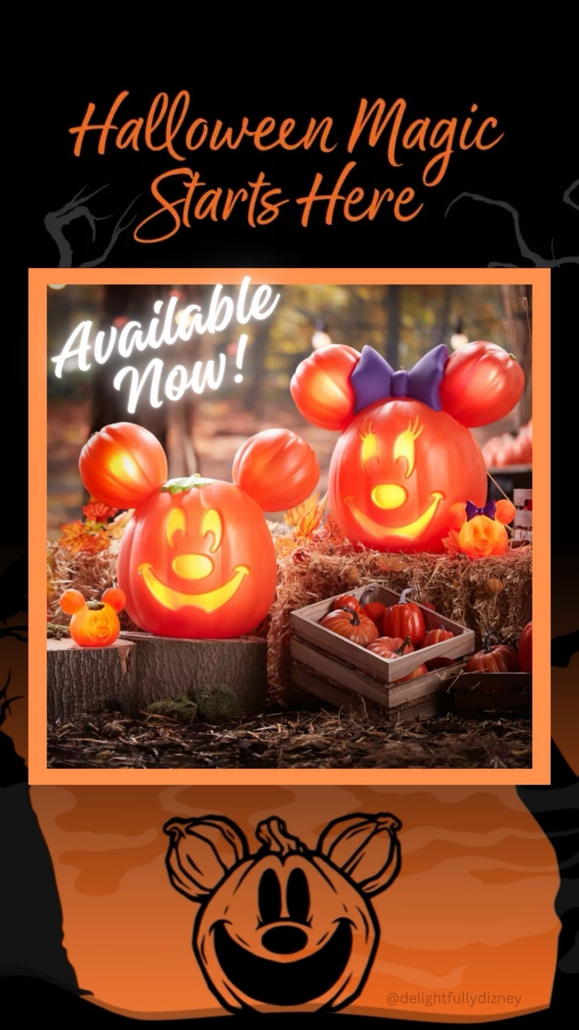 Halloween is starting to show up at Disney! Shop the newest merch below! This year Disney Store has come out with matching light-up Mickey and Minnie Mouse pumpkins for indoor or outdoor decor! They also have a new Haunted Mansion collection as well as new kids costumes. 

#LTKSeasonal #LTKFamily #LTKKids