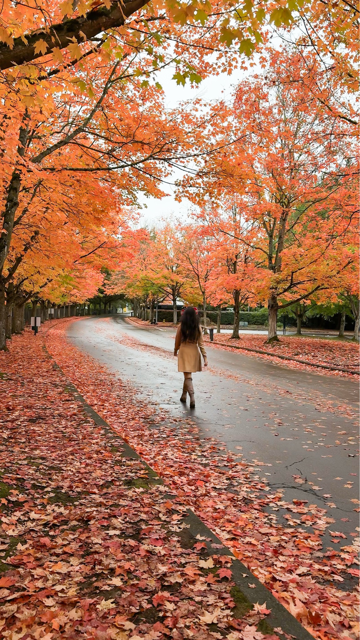French Connection Long Sleeve Faux Wrap Sweater Dress! Fall outfit 

#LTKSeasonal #LTKStyleTip #LTKHoliday