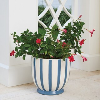 Allison Stripe Planter with Hand-Painted Blue & White Stripes for Indoor/Outdoor Use | Ballard Designs, Inc.