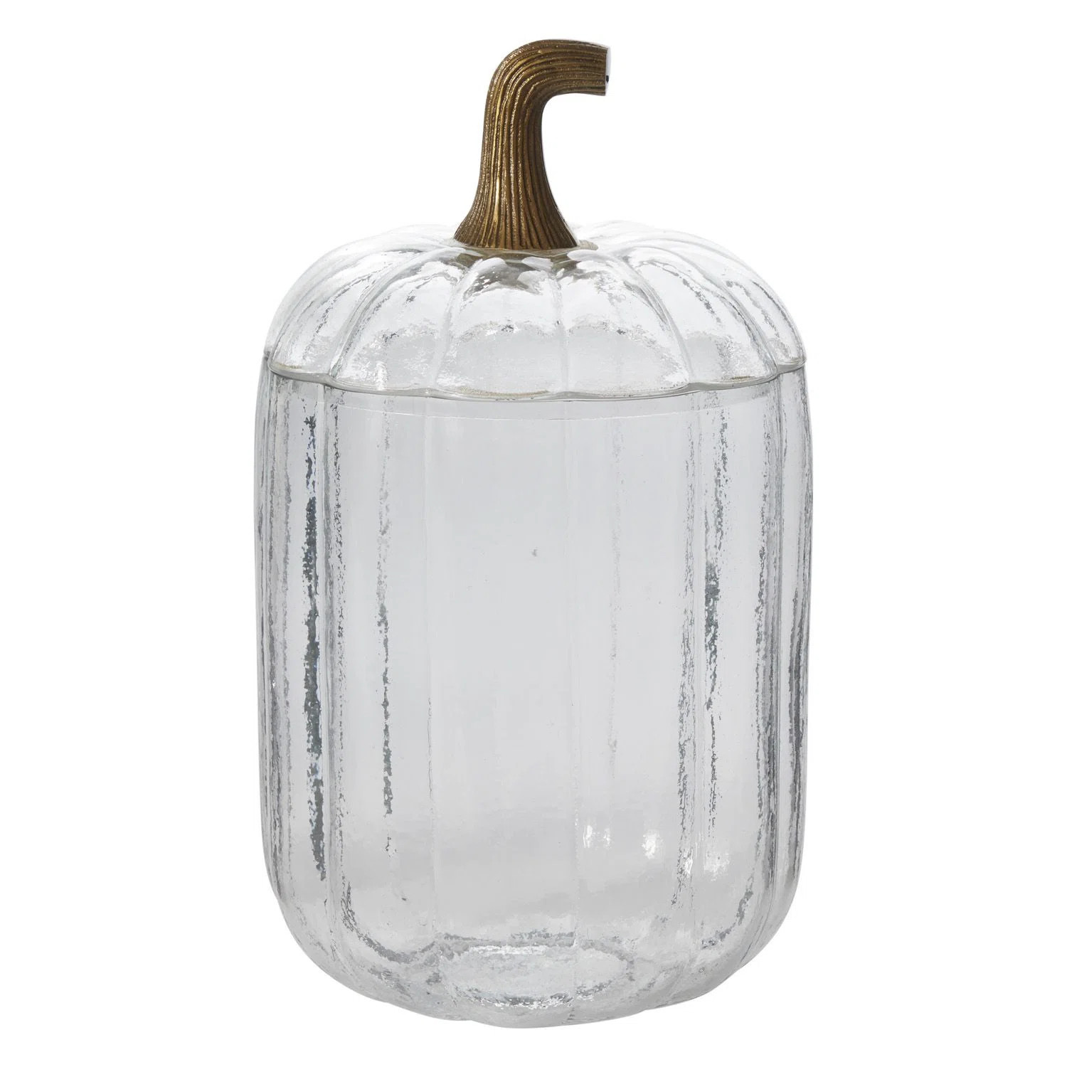 Translucent Pumpkin Terrarium 9"X9"X15" | Joss & Main