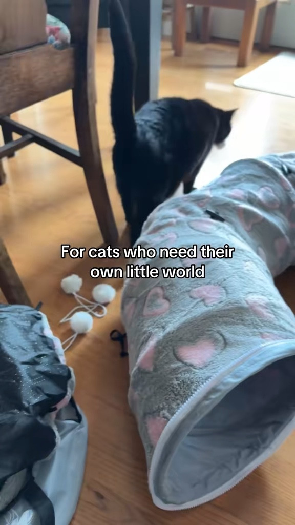 This is the kind of cozy cat bed KitKat would live in all day. It’s a tunnel, a bed, and a toy in one so they can nap, hide, and go full chaos mode.

#LTKHome #LTKmomlife