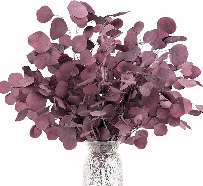Real Eucalyptus Stems 20PCS Dried Preserved Eucalyptus - Fresh Eucalyptus Silver Dollar Leaves fo... | Amazon (US)