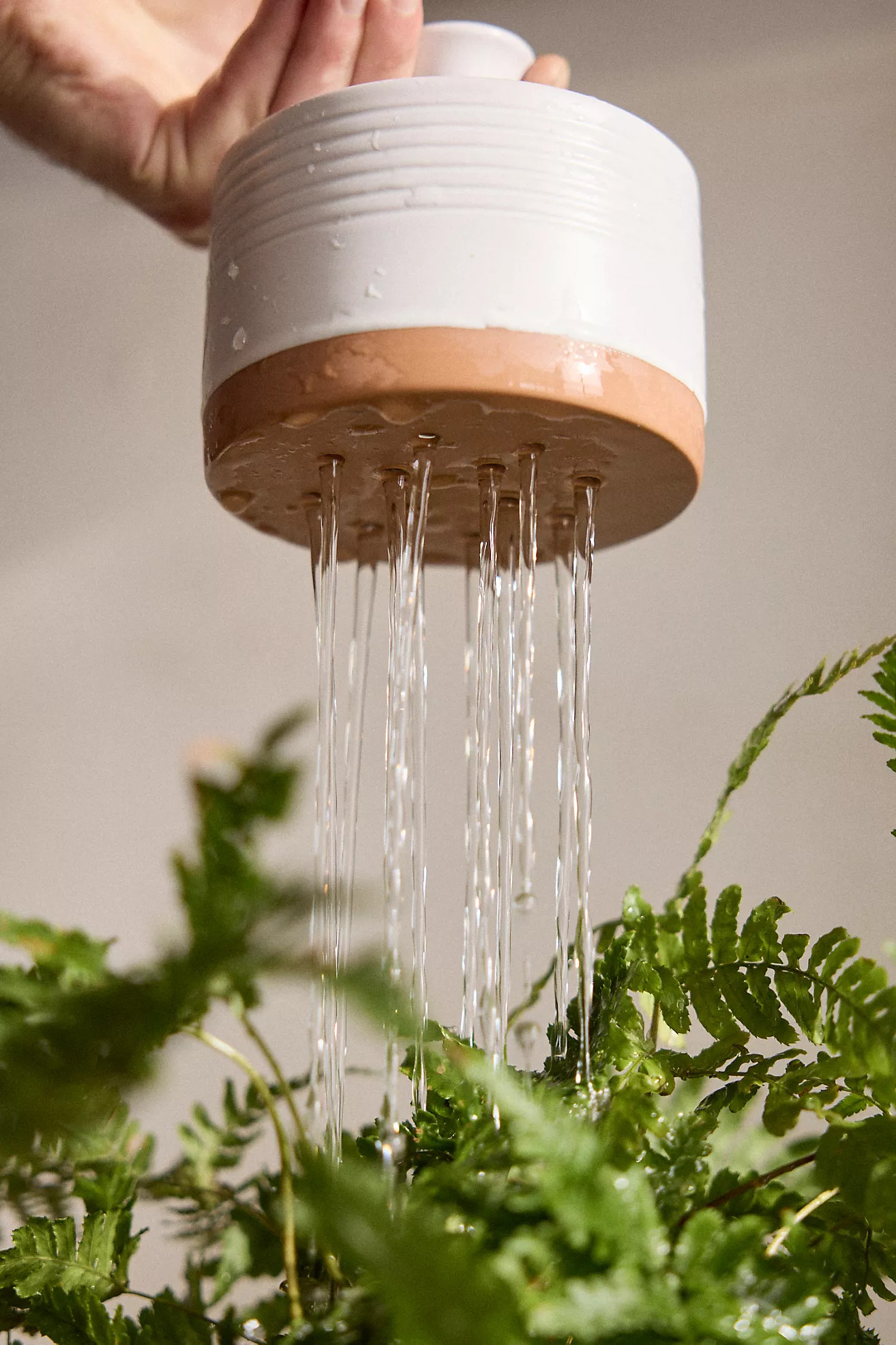 Ceramic Watering Bell | Anthropologie (US)