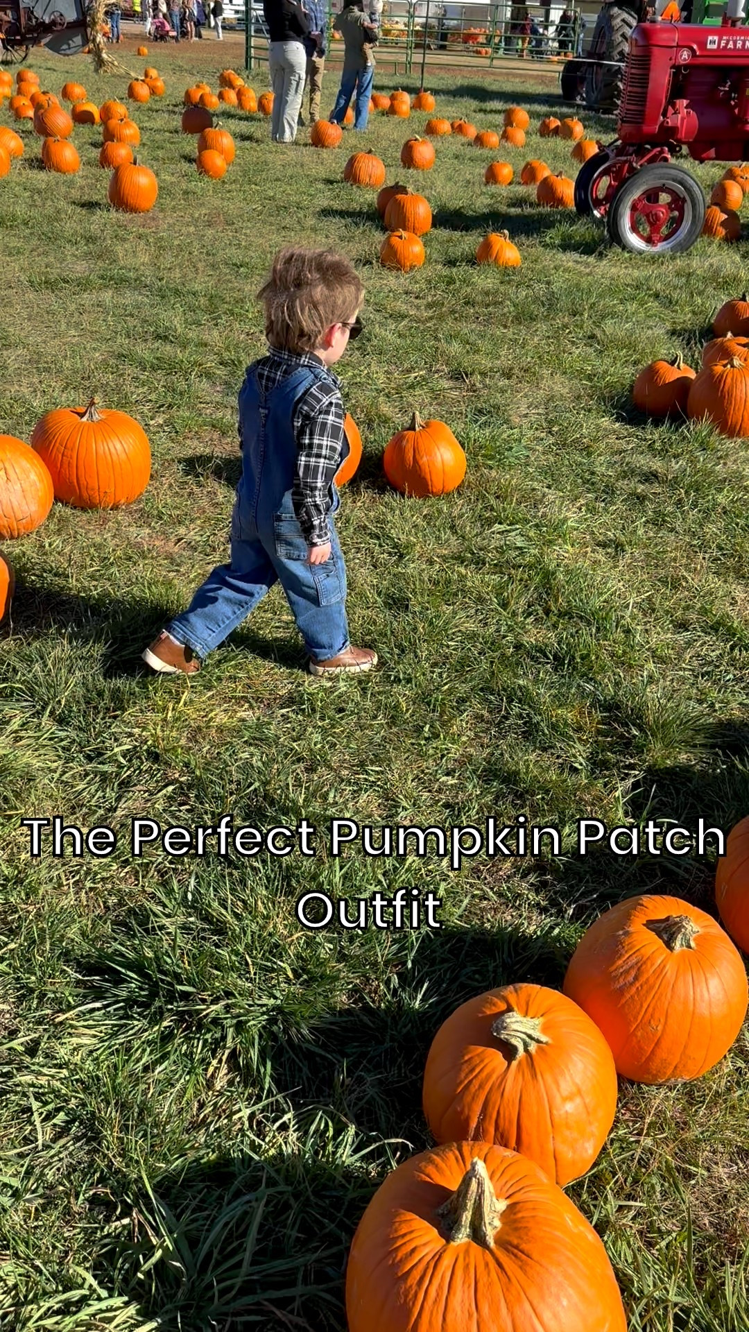 There is nothing like a classic OshKosh B’gosh overall for fall. This flannel from Carters helps pull the whole look together. Feels like fall! 

#LTKKids #LTKFamily #LTKSeasonal