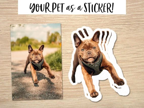 Custom Pet Sticker Custom Dog Sticker Custom Cat Sticker  | Etsy | Etsy (US)