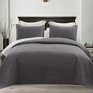 Exclusivo Mezcla Ultrasonic Reversible 3 Piece Full Queen Size Quilt Set with Pillow Shams, Light... | Amazon (US)