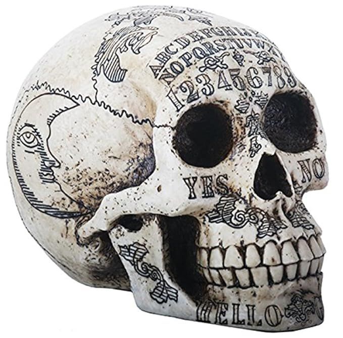 OUIJA Symbols Skull Skeleton Head Statue Figurine | Amazon (US)