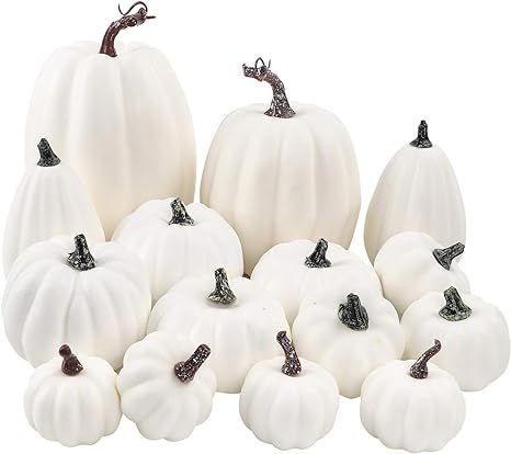 FUNARTY 16pcs White Pumpkins Decorations Artificial Pumpkins Set Fall Decorative Assorted Fake Pu... | Amazon (US)