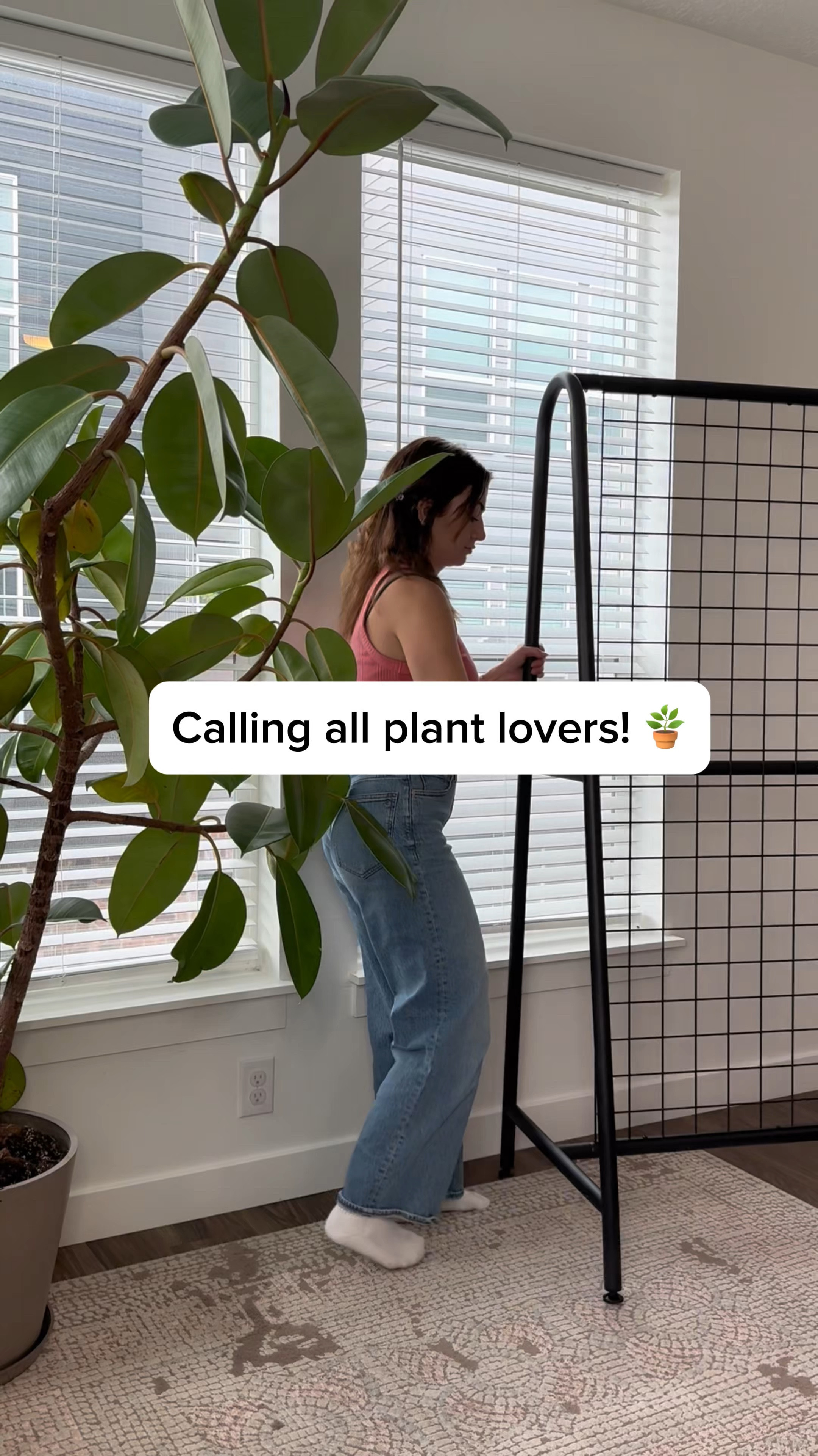 My favorite plant display is back 🗣️

#LTKU #LTKHome #LTKSeasonal