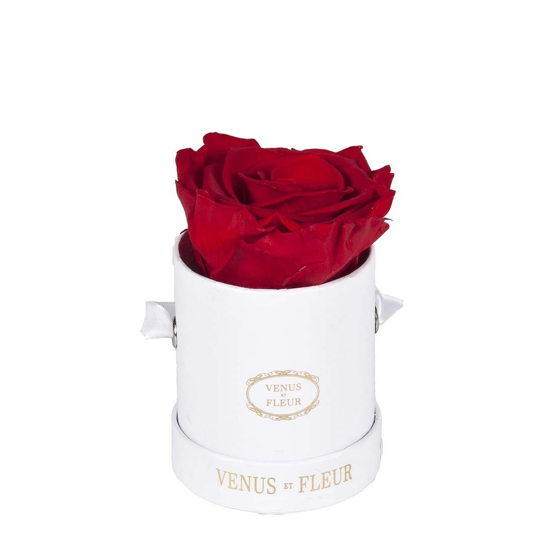 Le Mini™ Round | Venus ET Fleur
