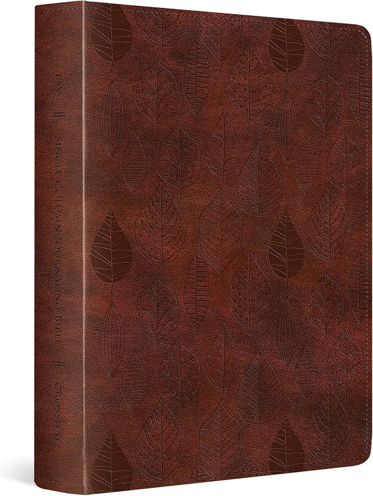 ESV Single Column Journaling Bible (TruTone, Chestnut, Leaves Design) | Amazon (US)