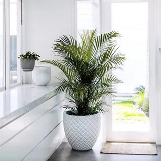 DreamPatio Irvine 1-Piece Fiberstone Pineapple Planter - 12x12x10.5 - Black | Bed Bath & Beyond