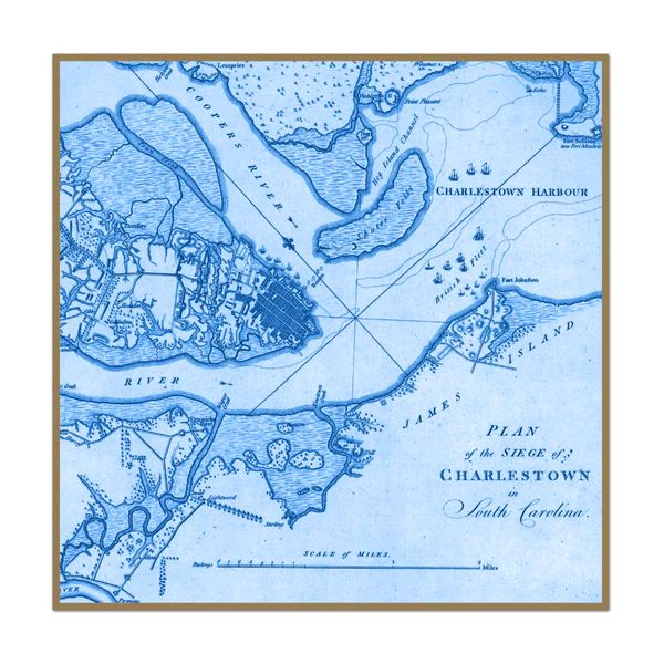 Vintage Charleston Map | Urban Garden Prints