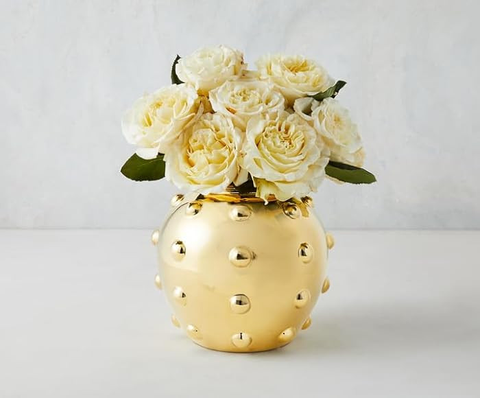 Z Gallerie Orb Bauble Vase - Spherical Studded Textured Vessel (Flowers Not Included) - Gold | Amazon (US)