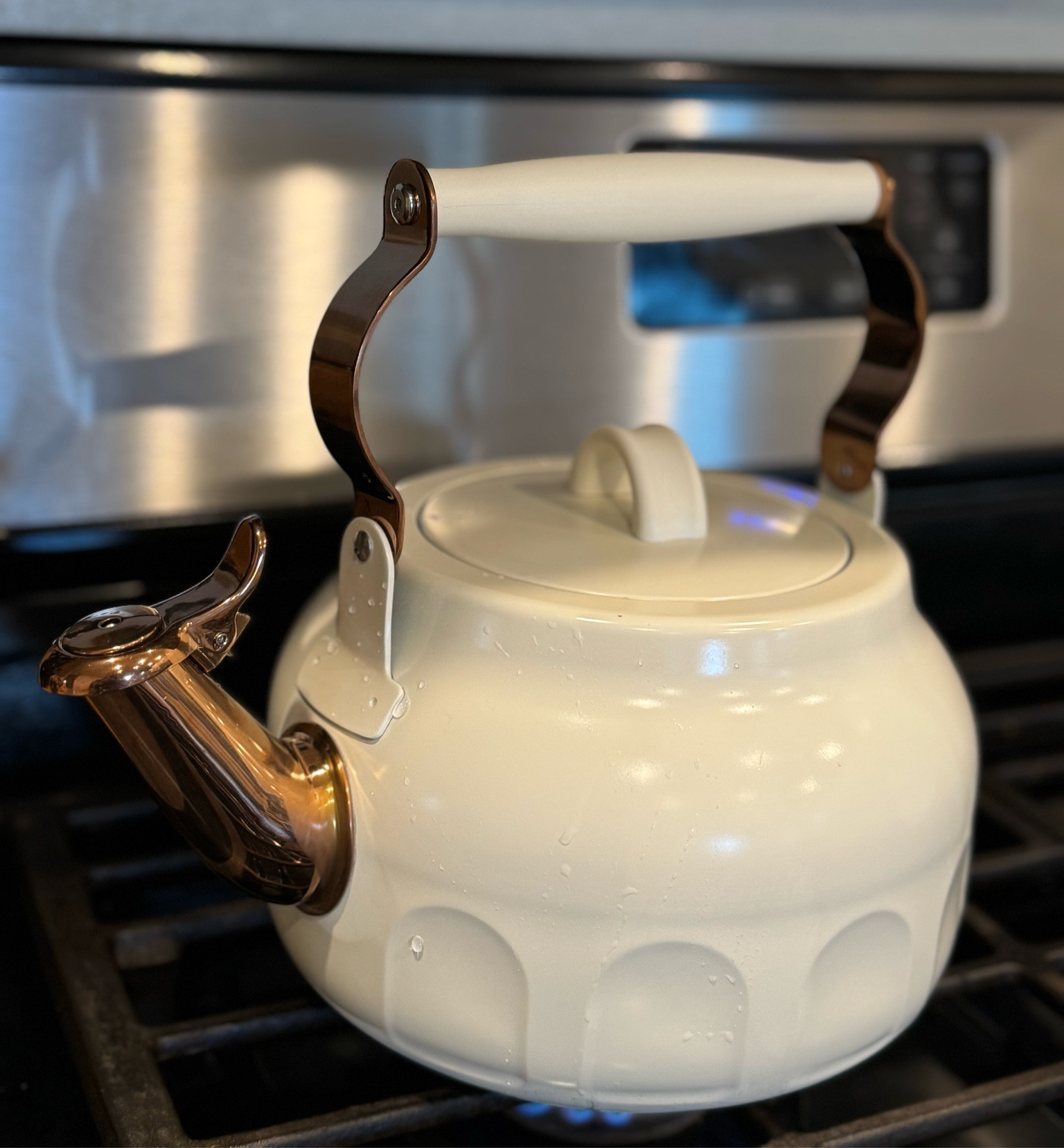 Winter time, means tons of more hot tea for me!! Found this gorgeous kettle which comes in two colors! Plus has stainless steel inside which is a great nontoxic way to heat up water. 


#LTKHome #LTKSeasonal #LTKFamily