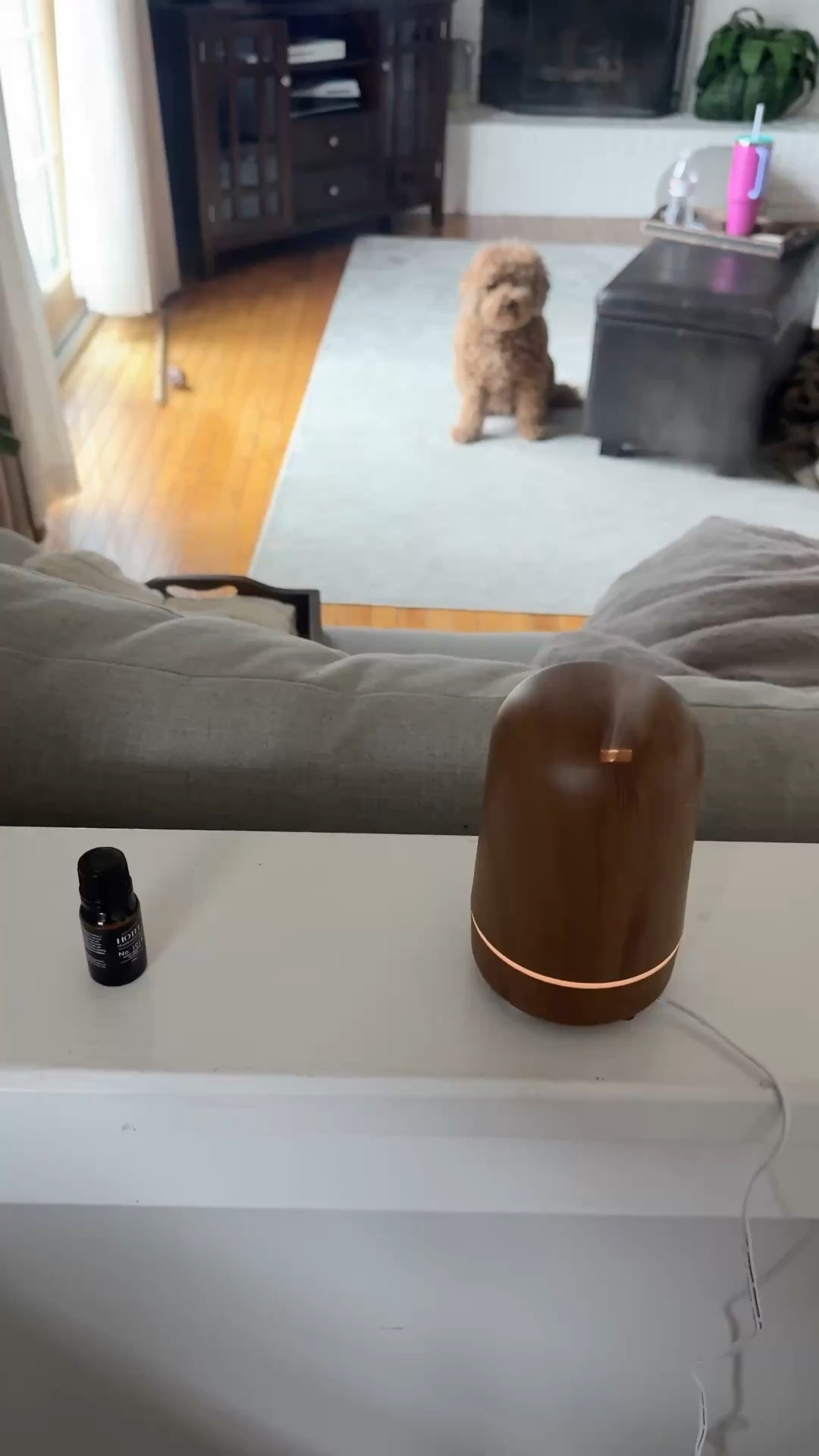 The best scent ever!! I love how it makes my home feel. I get why 20k were sold in the last month! 






Home decor, Amazon finds, home essentials, diffusers, oil diffuser, home scents 

#LTKOver40 #LTKselfcare #LTKHome