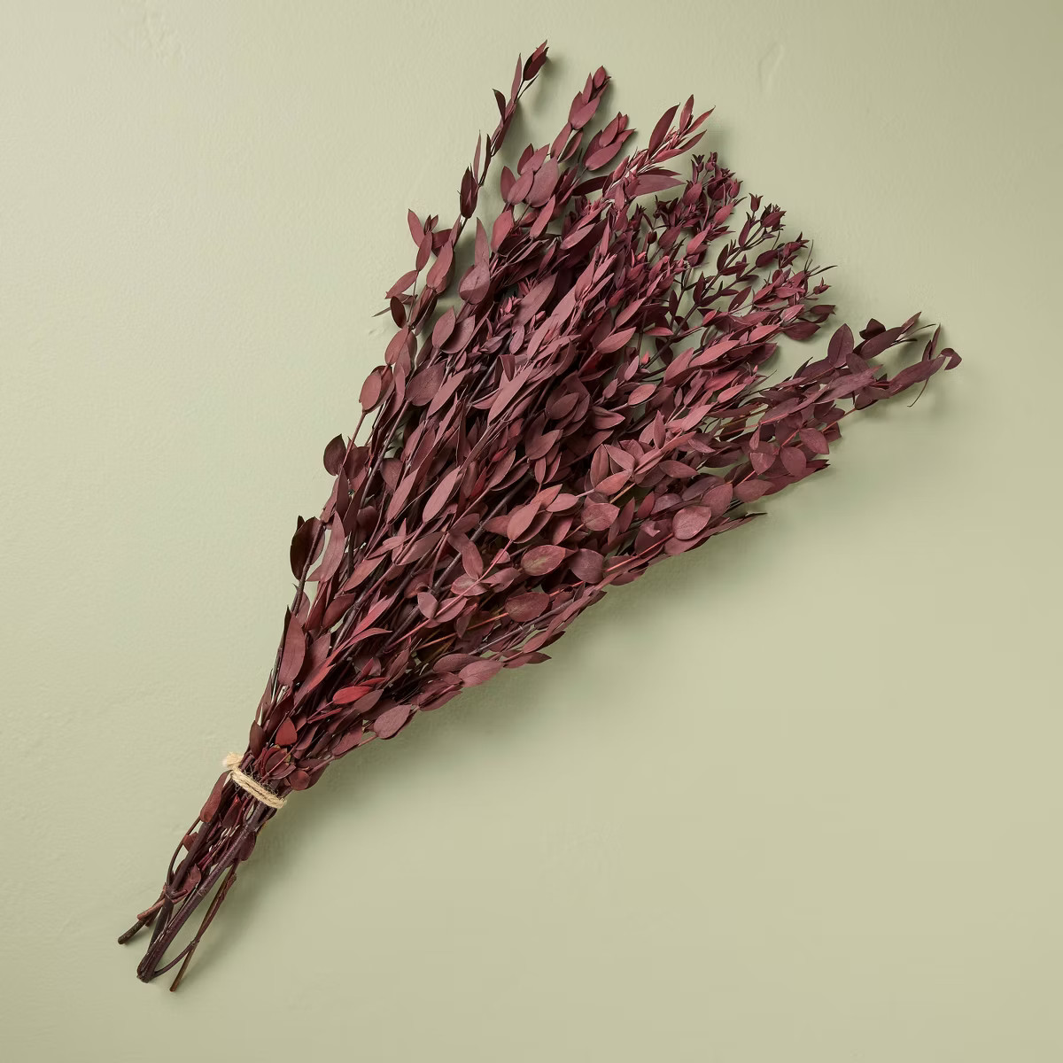 25" Preserved Eucalyptus Fall Bundle - Hearth & Hand™ with Magnolia | Target