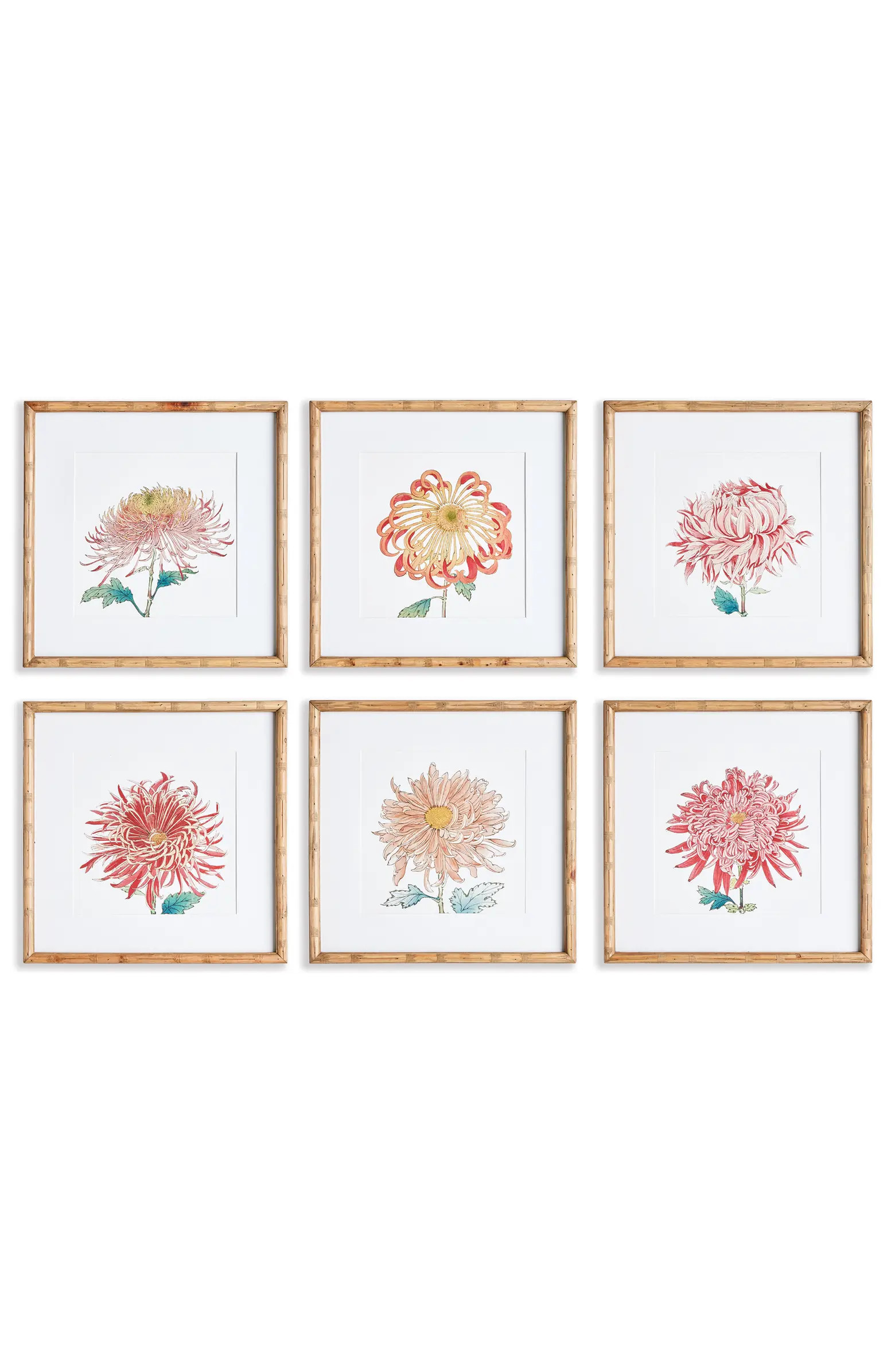 Colorful Chrysanthemum Prints St/6 | Nordstrom