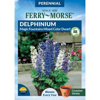 Ferry-Morse Delphinium Magic Fountain Mixed Color Dwarf Seed-5606 - The Home Depot | The Home Depot